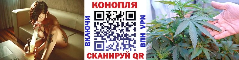 блэк спрут ССЫЛКА  Сокол  Каннабис конопля  маркетплейс Telegram  магазин продажи наркотиков 